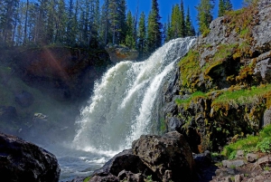 Los Angeles: 10-dagers rundtur i Yellowstone nasjonalpark