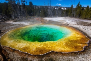 Los Angeles: 10-dagers rundtur i Yellowstone nasjonalpark