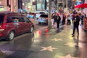 Los Angeles : Visite guidée de l'art de la rue avec un guide