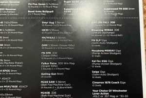 Machine Gun Shooting!