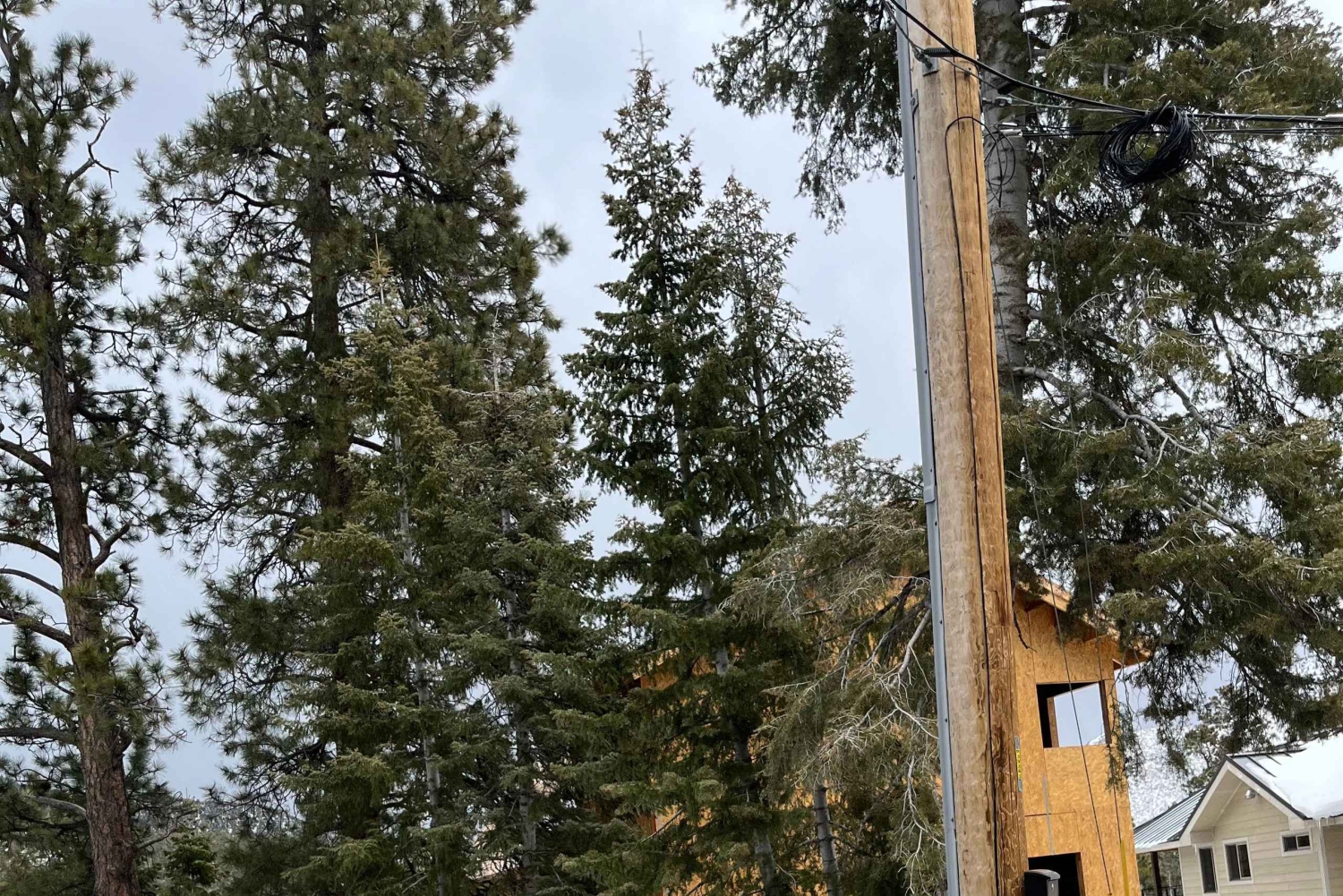 Mount Charleston Driving Adventure: Escape to Nature