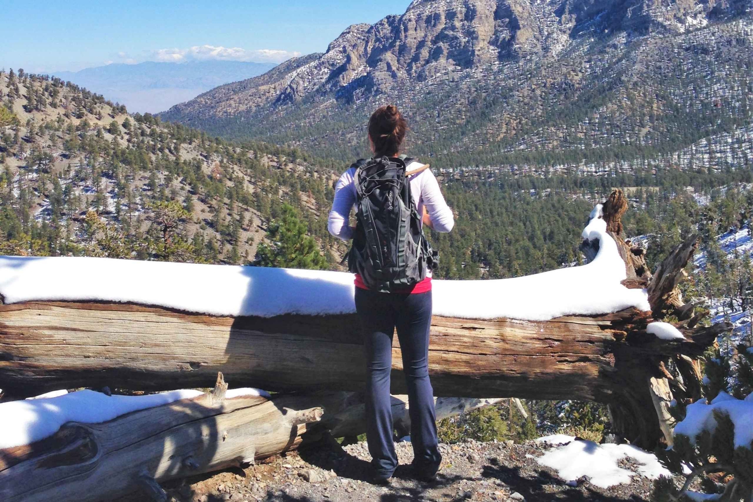 Mount Charleston Driving Adventure: Escape to Nature