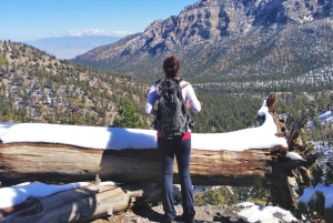 Mount Charleston Driving Adventure: Ucieczka do natury