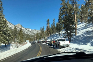 チャールストン山のドライブ アドベンチャー: 自然への逃避行