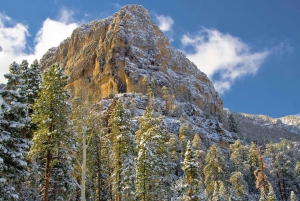 Köräventyr i Mount Charleston: Fly till naturen