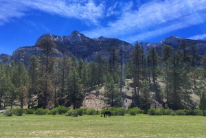 Aventura en coche por el Monte Charleston: Escápate a la Naturaleza