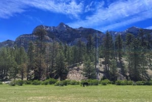 Mount Charleston Driving Adventure: Escape to Nature