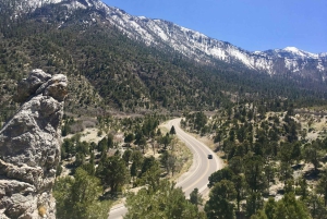 Mount Charleston Driving Adventure: Escape to Nature
