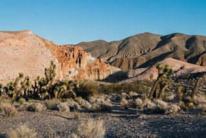 Le Nevada : Une visite guidée audioguide complète Bundle