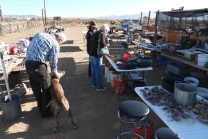Oatman Mining Village: Burros/Rute 66 Scenic Mountain Tour