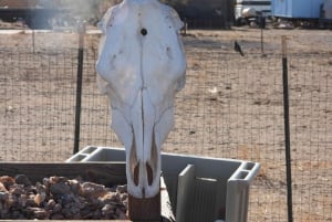 Oatman Mining Village: Burros/Rute 66 Scenic Mountain Tour