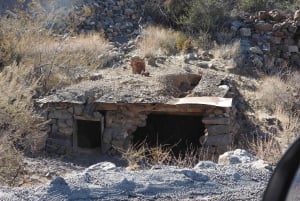 Oatman Mining Village: Burros/Rute 66 Scenic Mountain Tour