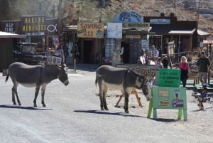 Oatman Mining Village: Burros/Rute 66 Scenic Mountain Tour
