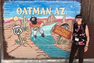 Pueblo Minero de Oatman: Burros/Ruta 66 Excursión panorámica por las montañas