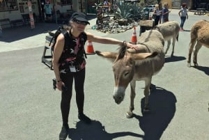 Pueblo Minero de Oatman: Burros/Ruta 66 Excursión panorámica por las montañas