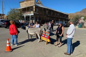 Pueblo Minero de Oatman: Burros/Ruta 66 Excursión panorámica por las montañas