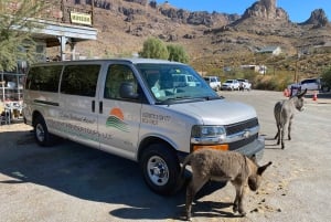 Pueblo Minero de Oatman: Burros/Ruta 66 Excursión panorámica por las montañas