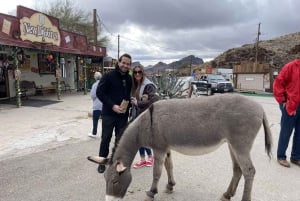 Pueblo Minero de Oatman: Burros/Ruta 66 Excursión panorámica por las montañas