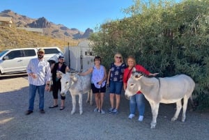 Pueblo Minero de Oatman: Burros/Ruta 66 Excursión panorámica por las montañas