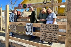 Pueblo Minero de Oatman: Burros/Ruta 66 Excursión panorámica por las montañas