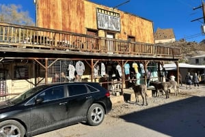 Pueblo Minero de Oatman: Burros/Ruta 66 Excursión panorámica por las montañas