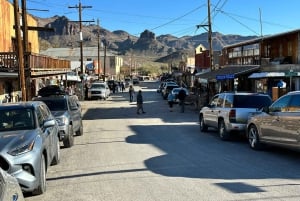 Pueblo Minero de Oatman: Burros/Ruta 66 Excursión panorámica por las montañas