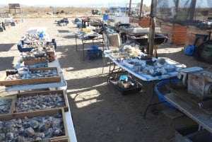 Pueblo Minero de Oatman: Burros/Ruta 66 Excursión panorámica por las montañas