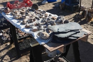 Pueblo Minero de Oatman: Burros/Ruta 66 Excursión panorámica por las montañas