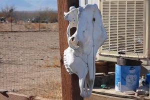 Pueblo Minero de Oatman: Burros/Ruta 66 Excursión panorámica por las montañas