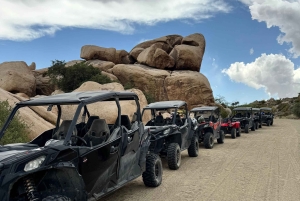 Aventura todoterreno de 2 horas en Las Vegas