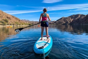 Willow Beach : leçon de stand up paddle board