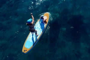 Willow Beach: Stand up paddle board uthyrning nära Las Vegas