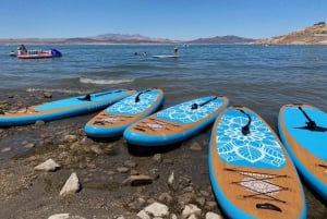 Lake Mead: Udlejning af paddleboards nær Las Vegas