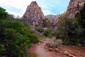 Tour particular de caminhada no Red Rock Canyon para 1 a 4 pessoas