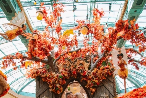 Privates Urlaubs-Fotoshooting mit Fotograf in Las Vegas