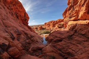 Red Rock Canyonin opastettu automaattinen ritsa-ajelu (Slingshot Tour)