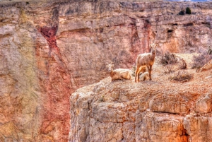 Red Rock Canyon - wycieczka z przewodnikiem w formie audio