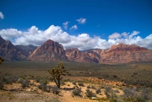 Red Rock Canyon, Sete Montanhas Mágicas, Cidade Fantasma de Nelson