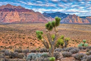 Red Rock Canyon, Sete Montanhas Mágicas, Cidade Fantasma de Nelson