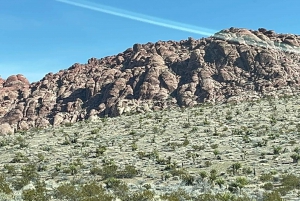 Aventura de carro particular guiada no Red Rock Canyon