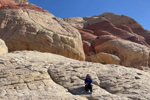 Privat guidet Red Rock Canyon-køreventyr