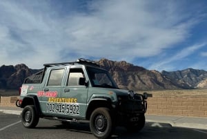 Tour guidato delle vedute del Red Rock Canyon