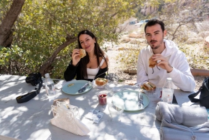 Las Vegas: Red Rock Canyon og den finurlige Cactus Joe's + lunsj