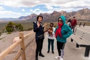 Las Vegas: Red Rock Canyon & Skurriler Kaktus Joe's + Mittagessen