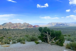 Las Vegas: Red Rock Canyon och nyckfulla Cactus Joe's + lunch