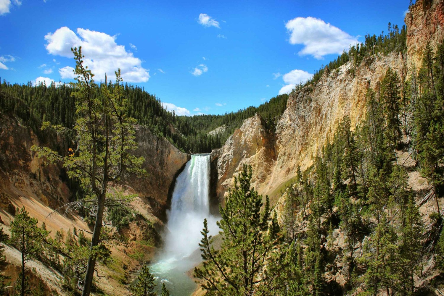 Salt Lake City: Excursión guiada de ida y vuelta de 5 días a Yellowstone