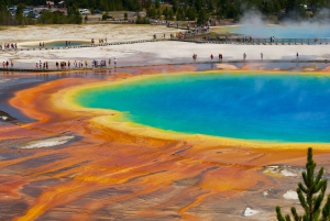 Salt Lake City: 5-Day Guided Round Trip to Yellowstone