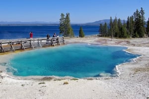 Salt Lake City: 5-Day Guided Round Trip to Yellowstone