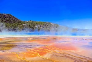 Salt Lake City: 5-Day Guided Round Trip to Yellowstone
