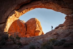 Солт-Лейк-Сити: 7-дневный тур с гидом из Йеллоустоуна в Лас-Вегас